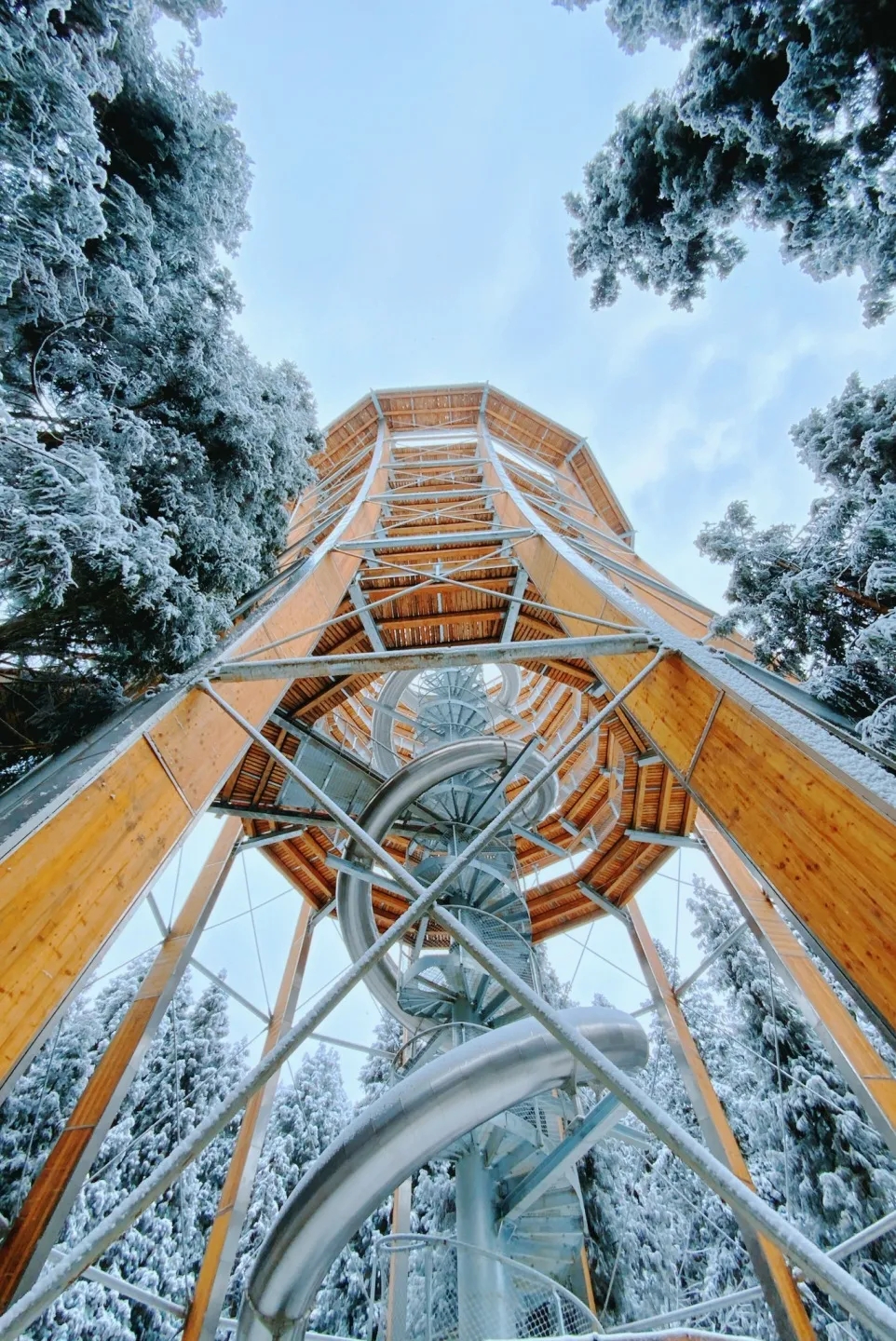 武隆旅游遇见武隆仙女山树顶漫步深冬雪景