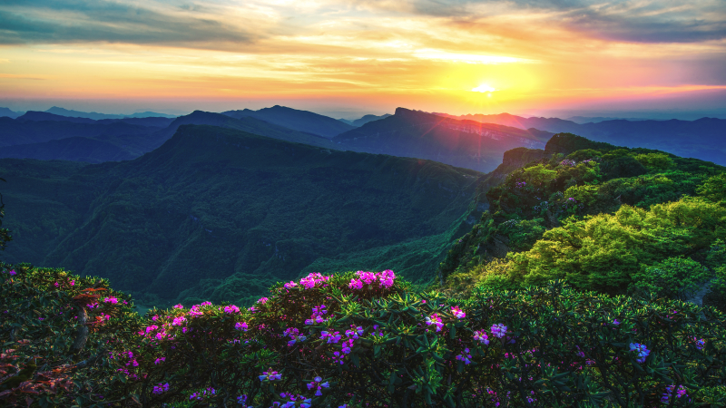 白马山旅游度假区  动植物基因库