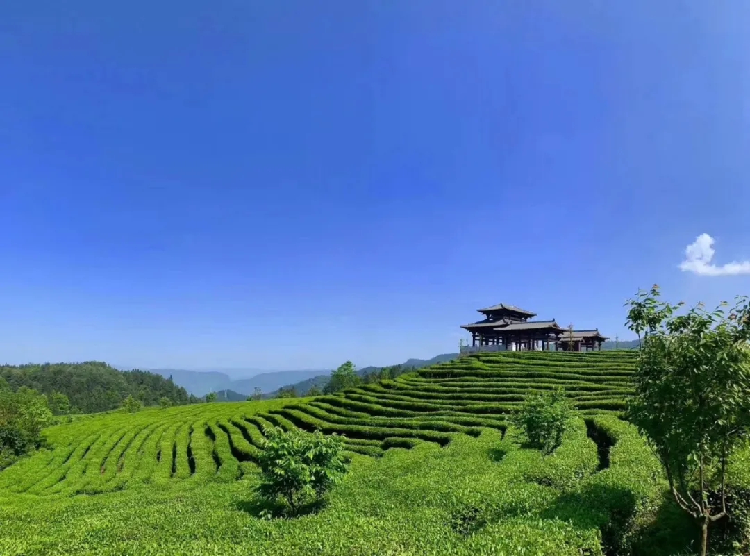 519中国旅游日武隆白马山天尺情缘景区免门票