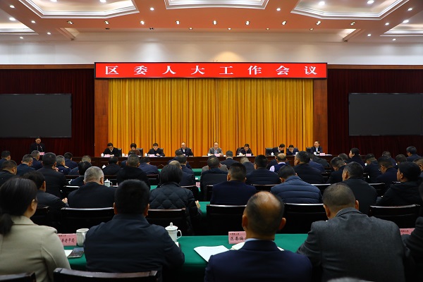 11.27(范立新)区委人大工作会议(湛伟).jpg